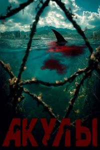 ����� (2025)