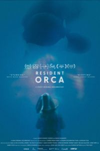 ����������� ������� (2025)