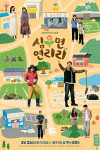 �������� ����� � ������ (2026)