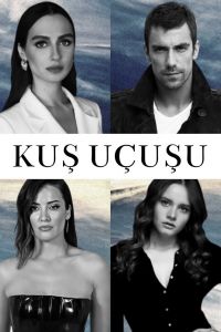 ����� ����� (1-3 �����)