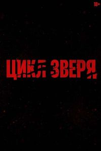 ���� ����� (2026)
