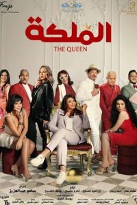 ���-������ (2024)