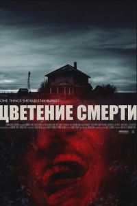 �������� ������ (2025)