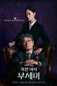 Госпожа Инкогнито / Хорошая женщина Бу Се Ми (2025) Госпожа Инкогнито / Хорошая женщина Бу Се Ми (2025)