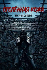 ��������� ���� (2026)