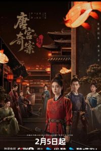 ����� ������ ���: ���������� ����� (2026)