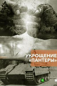 Укрощение «Пантеры» (2025) Укрощение «Пантеры» (2025)