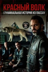 ������� ����. ������������ ������� �� ������ (2025)