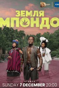 ����� ������ (2025)