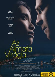 Цветок яблони (2023)