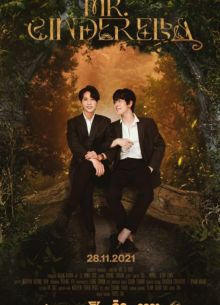 Мистер Золушка (1-2 Сезон)