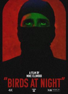 Ночные пташки (2023)