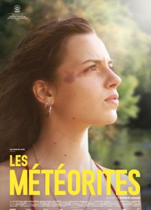 Метеориты (2018)