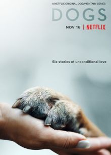 Собаки (2018)