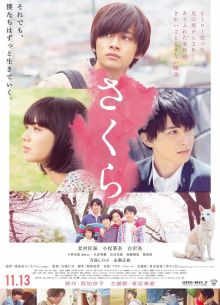 Сакура (2020)