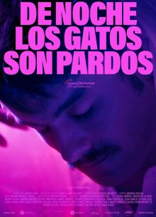 По ночам все кошки черные (2022)