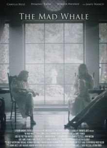  (2017)