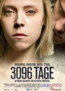 3096  (2013)