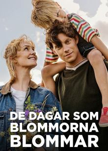 ,    (2019)