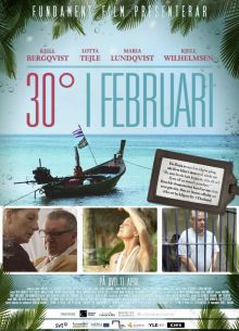 30 градусов в феврале (2012)
