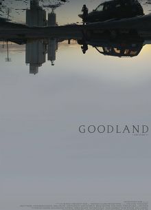  (2017)