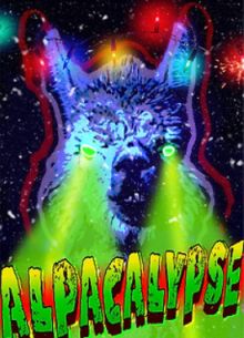  (2024)