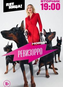 Новый Ревизорро (2025)