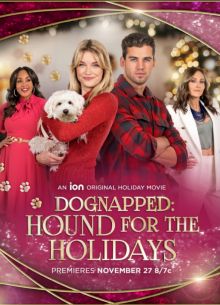 Похищение: щенок на праздники (2022)