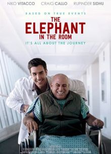  (2019)