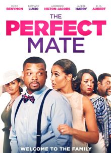 Идеальный партнёр (2020)