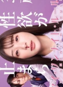 Мое правило одной ночи (2025)