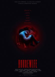 Домохозяйка (2017)