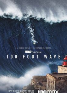100-  (1-3 )
