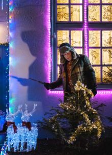 Все иголки на елке (2020)