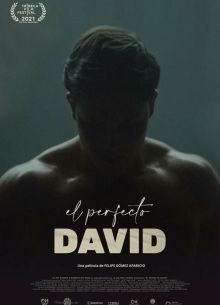 Идеальный Давид (2021)