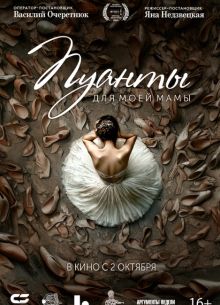 ������ ��� ���� ���� (2024)