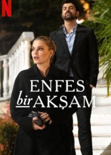 Восхитительный вечер / Изысканный вечер (2025)