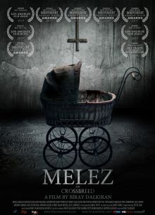  (2017)